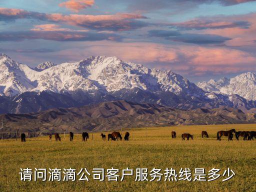 滴滴公司電話(huà)人工服務(wù)，請(qǐng)問(wèn)滴滴公司客戶(hù)服務(wù)熱線是多少