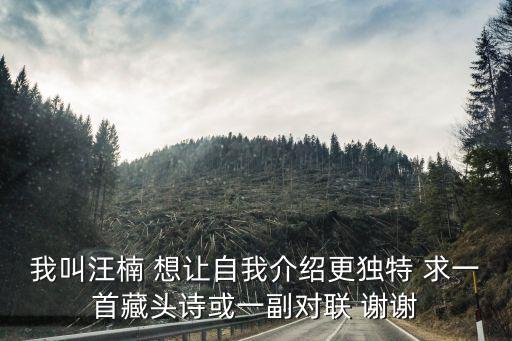 我叫汪楠 想讓自我介紹更獨(dú)特 求一首藏頭詩或一副對聯(lián) 謝謝