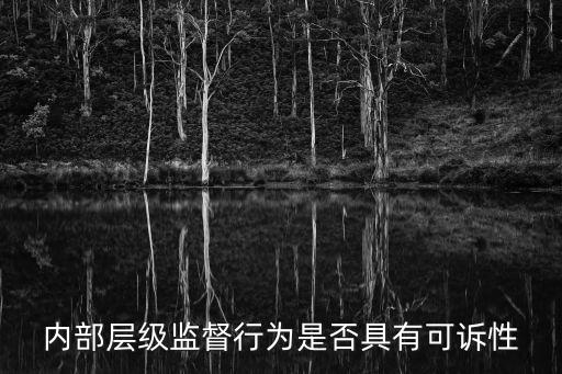 內(nèi)部層級(jí)監(jiān)督行為是否具有可訴性