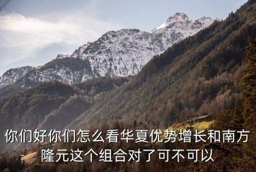 你們好你們怎么看華夏優(yōu)勢增長和南方隆元這個組合對了可不可以