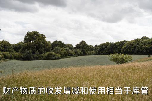 財(cái)產(chǎn)物質(zhì)的收發(fā)增減和使用相當(dāng)于庫管