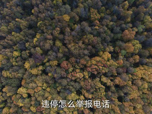 違章停車舉報(bào)，違停怎么舉報(bào)電話