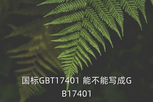 國標(biāo)GBT17401 能不能寫成GB17401