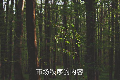 市場秩序的內(nèi)容