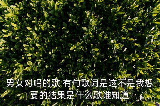 男女對唱的歌 有句歌詞是這不是我想要的結(jié)果是什么歌誰知道
