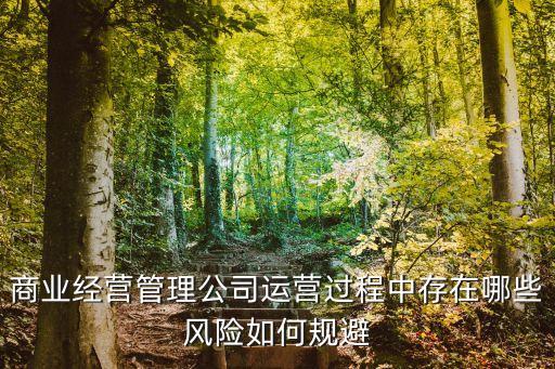 運(yùn)營(yíng)風(fēng)險(xiǎn)，運(yùn)營(yíng)風(fēng)險(xiǎn)很抽象很難看懂能不能舉幾個(gè)實(shí)例來演示一下哪些