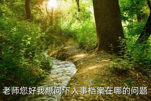 老師您好我想問下人事檔案在哪的問題
