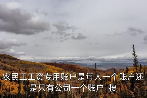 農(nóng)民工工資專用賬戶是每人一個賬戶還是只有公司一個賬戶  搜