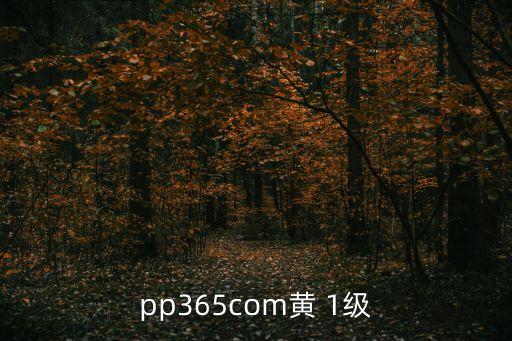 pp365com黃 1級