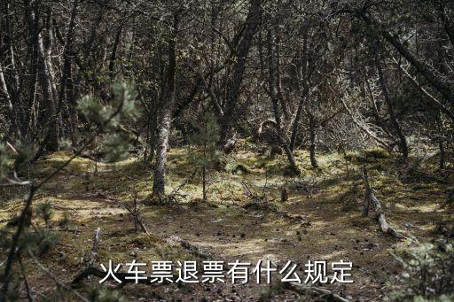 火車票退票有什么規(guī)定