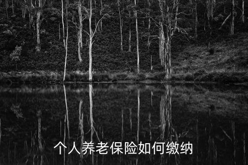 個(gè)人養(yǎng)老保險(xiǎn)如何繳納
