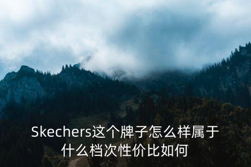 Skechers這個牌子怎么樣屬于什么檔次性價比如何