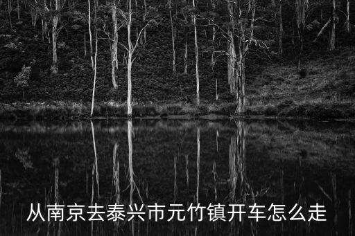 從南京去泰興市元竹鎮(zhèn)開車怎么走