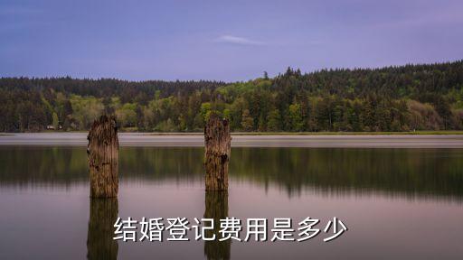 結(jié)婚登記費用是多少