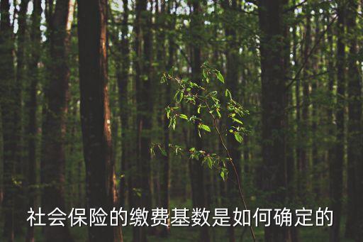社會(huì)保險(xiǎn)的繳費(fèi)基數(shù)是如何確定的