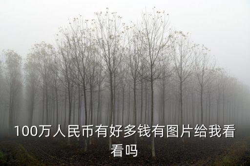 100萬人民幣有好多錢有圖片給我看看嗎