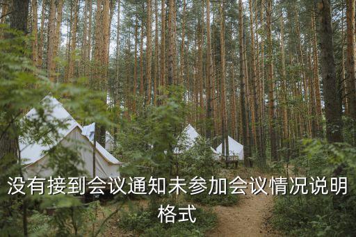 未參會情況說明，沒有接到會議通知未參加會議情況說明格式