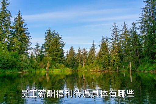 薪酬福利，什么是薪酬福利制度
