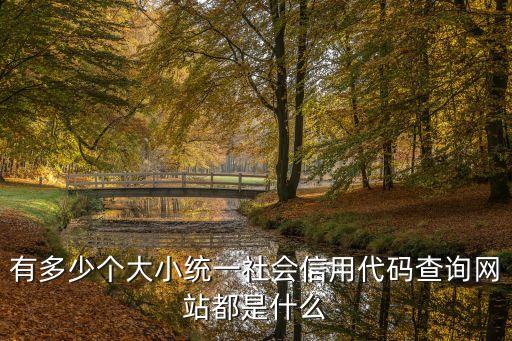有多少個(gè)大小統(tǒng)一社會(huì)信用代碼查詢網(wǎng)站都是什么