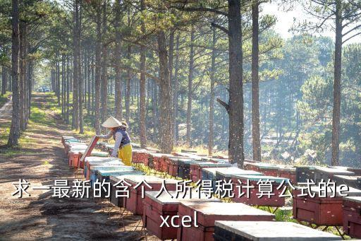 求一最新的含個人所得稅計算公式的excel