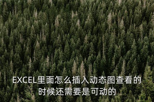 EXCEL里面怎么插入動態(tài)圖查看的時候還需要是可動的