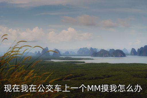 現(xiàn)在我在公交車上一個(gè)MM摸我怎么辦