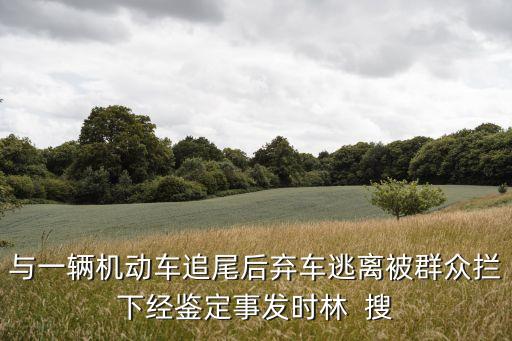 時林，與一輛機動車追尾后棄車逃離被群眾攔下經(jīng)鑒定事發(fā)時林  搜