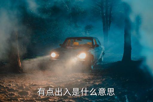 有點出入是什么意思