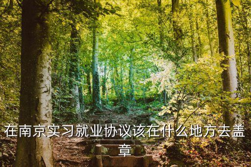 在南京實(shí)習(xí)就業(yè)協(xié)議該在什么地方去蓋章