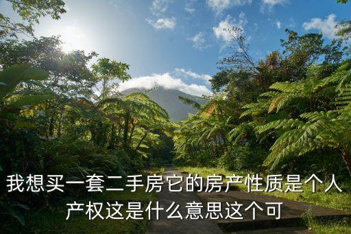 個(gè)人產(chǎn)權(quán)，我想買一套二手房它的房產(chǎn)性質(zhì)是個(gè)人產(chǎn)權(quán)這是什么意思這個(gè)可