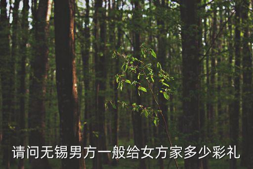 無錫彩禮，請問無錫彩禮行情2012年 無錫本地人有房已經(jīng)裝修好無車