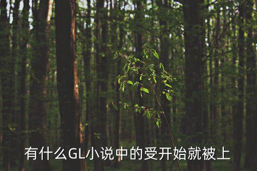 有什么GL小說中的受開始就被上