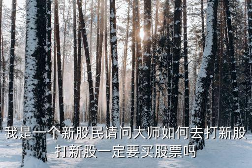 我是一個新股民請問大師如何去打新股打新股一定要買股票嗎
