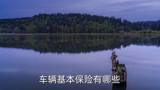 車輛基本保險(xiǎn)有哪些