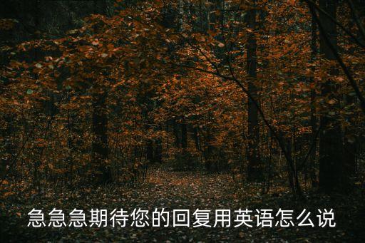 期待您的回復(fù)，期待您的回復(fù) 西班牙語怎么翻譯