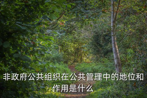 非政府公共組織在公共管理中的地位和作用是什么