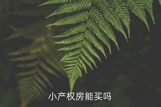 小產(chǎn)權(quán)房可以買嗎，小產(chǎn)權(quán)房是否建議購買