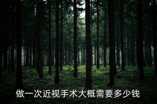 近視做手術(shù)費(fèi)用，做一次近視手術(shù)大概需要多少錢