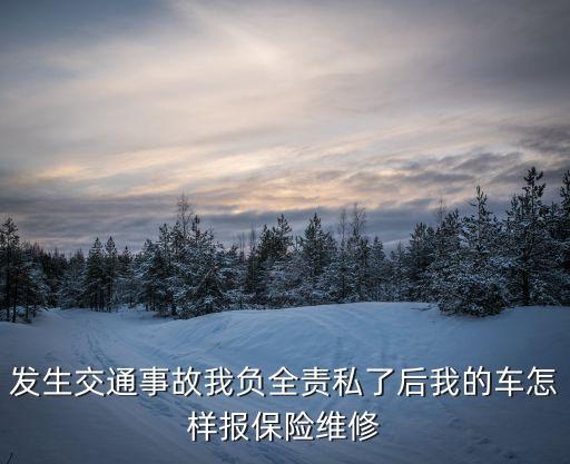 怎么報(bào)保險(xiǎn)修車，兩車相撞我車負(fù)全責(zé)該怎么報(bào)保險(xiǎn)及維修費(fèi)用