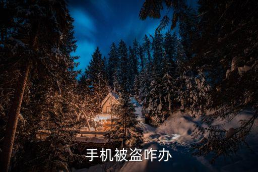 手機(jī)被盜咋辦