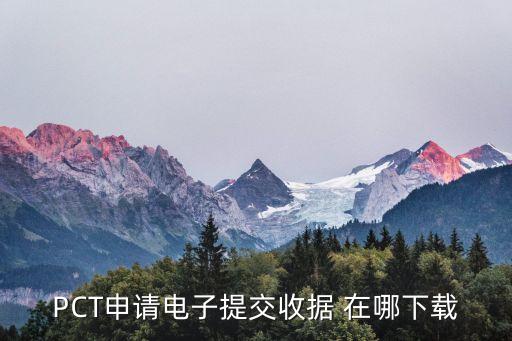 收款收據(jù)電子版，怎樣用word或者excel做收款收據(jù)主要格式是什么需要具體步驟