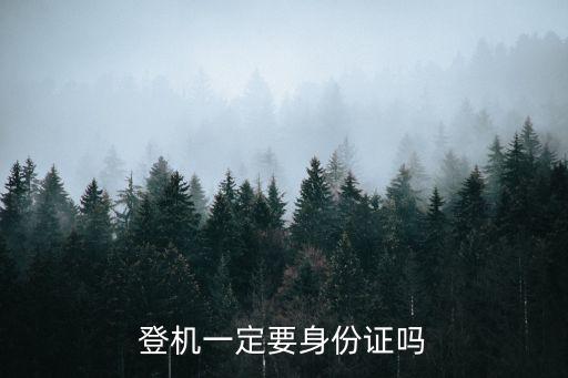 坐飛機(jī)要身份證嗎，做飛機(jī)要身份證嗎