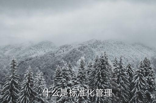 國(guó)家標(biāo)準(zhǔn)化管理，如何做好企業(yè)標(biāo)準(zhǔn)化管理體系