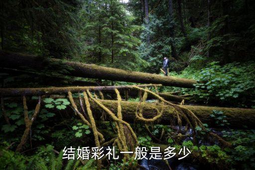 彩禮一般給多少，結(jié)婚彩禮一般是多少