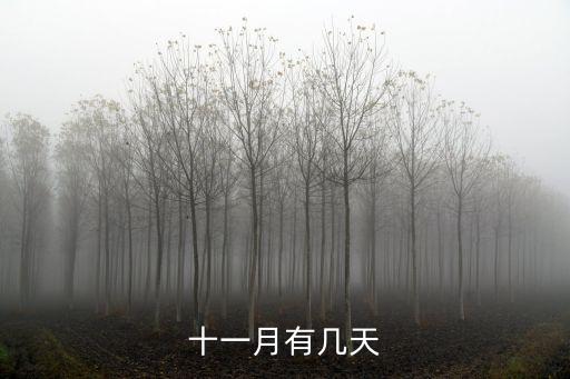 11月有幾天，十一月有幾天