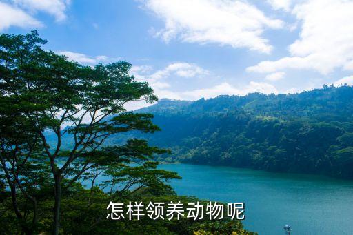 動(dòng)物領(lǐng)養(yǎng)，怎樣領(lǐng)養(yǎng)動(dòng)物呢