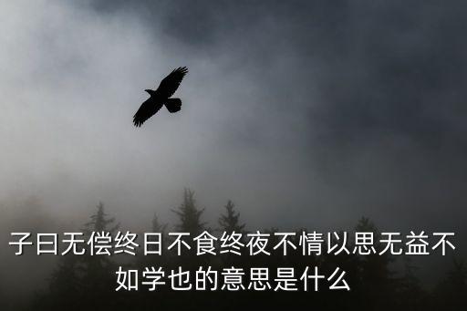 無償什么意思，子曰無償終日不食終夜不情以思無益不如學也的意思是什么