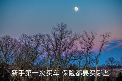 車車險(xiǎn)，新手第一次買車 保險(xiǎn)都要買哪些