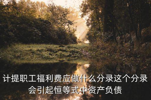 計(jì)提職工福利費(fèi)應(yīng)做什么分錄這個(gè)分錄會(huì)引起恒等式中資產(chǎn)負(fù)債