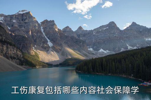 工傷康復包括哪些內(nèi)容社會保障學